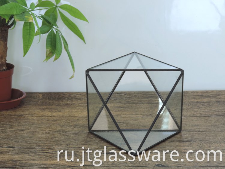 Pentagon Ball Shape Open Glass Geometric Terrarium